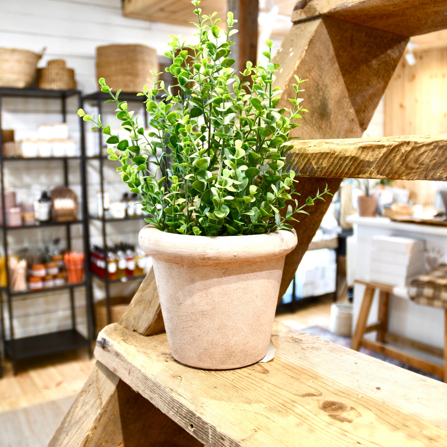 Miljögården Ruukku